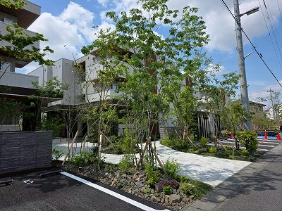 LINE_ALBUM_2026.5.27_260528_1