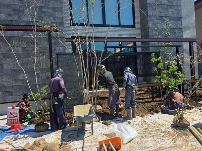 LINE_ALBUM_2026.5.27_260528_11