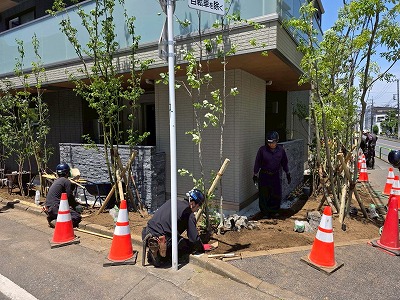LINE_ALBUM_2026.5.27_260528_14
