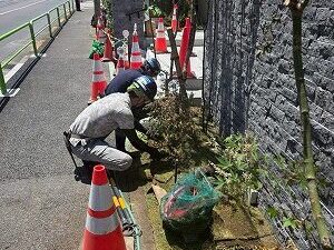 LINE_ALBUM_2026.5.27_260528_15